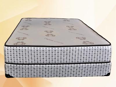 Sleep In Supreme Collection Premium Foam 10" Mattress