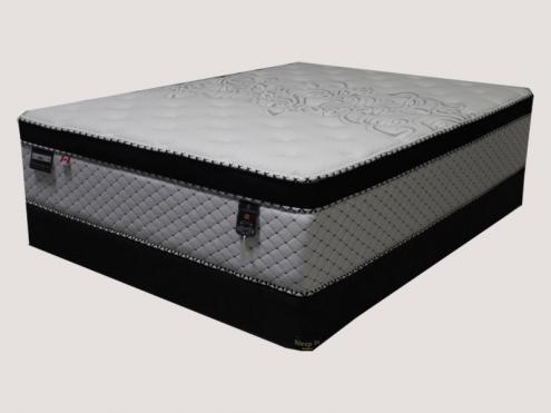 Esha Foam Encased Euro Top Style Single Size Mattress