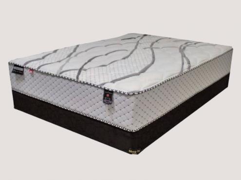 Foam Encased Tight Top Queen Size Mattress - Morning Glory (Latex)